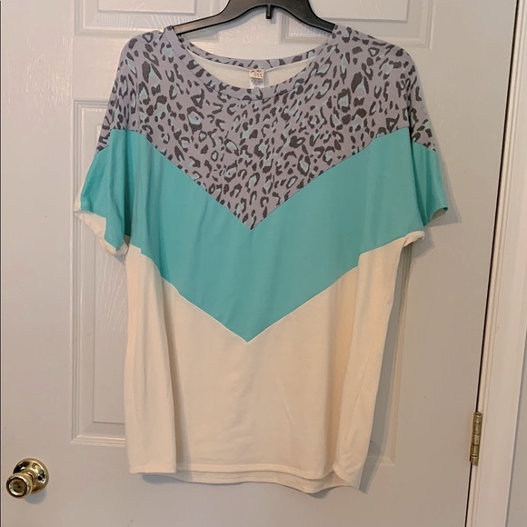 7th Ray Tops - 7th Ray Women's Leopard Print Top - Gray, Teal, and Cream 2x